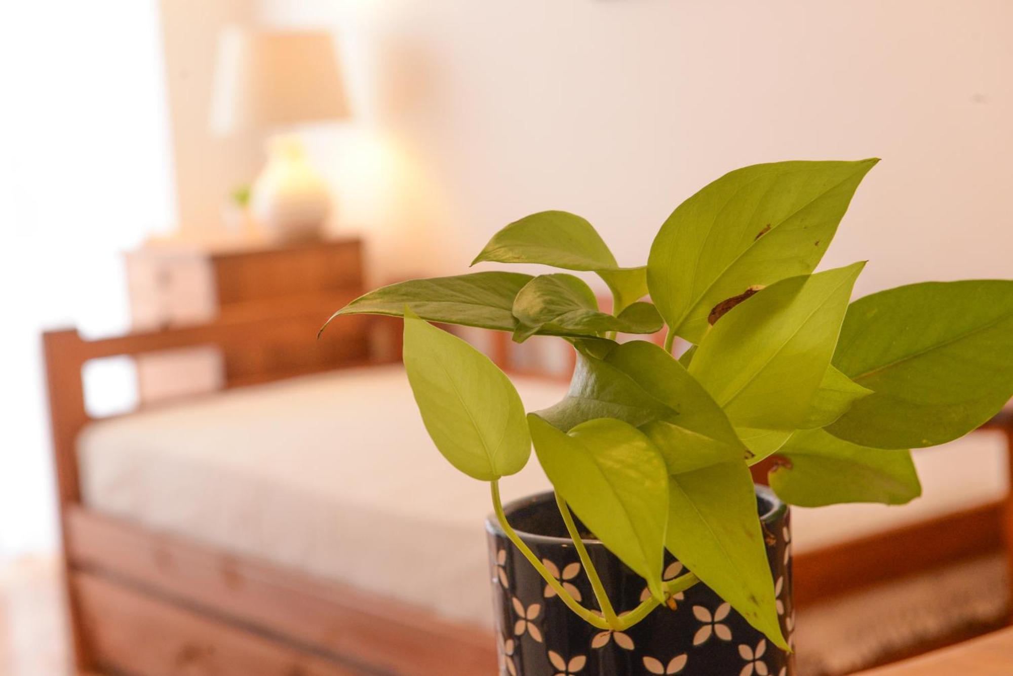 Imperdible En Palermo Botanico La Rural Seguridad 24hs Apartment Buenos Aires
